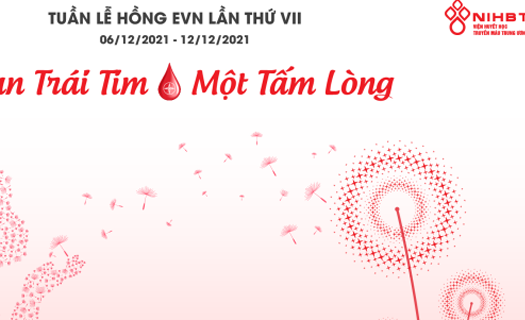 EVN chuẩn bị tổ chức Tuần lễ hồng lần thứ VII - năm 2021