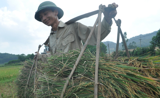 Nông nghiệp vượt khó, đạt nhiều chỉ tiêu vượt trội