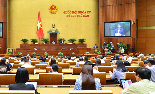 Chánh án Nguyễn Hòa Bình: Kiện chưa chắc đã đúng, lại đưa lên mạng công khai