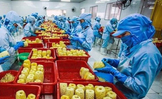 Nỗ lực mở rộng thị trường xuất khẩu nông sản Việt