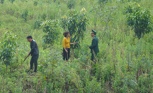 Lũng Pô: Vùng đất trù phú