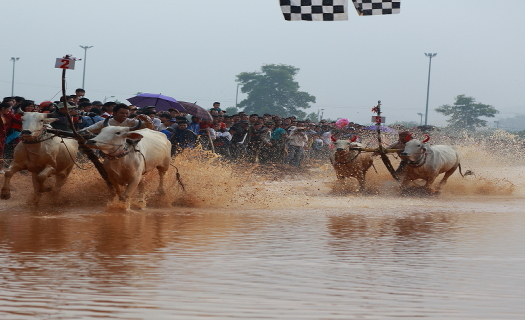 Lễ hội Dolta ở An Giang