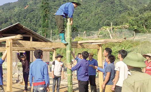 Hàng trăm đoàn viên thanh niên giúp người dân vùng lũ Mù Căng Chải