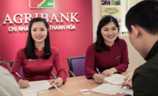 Vì sao cần tăng vốn điều lệ cho Agribank?