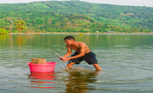 Bội thu nhờ các hồ nước sinh thái