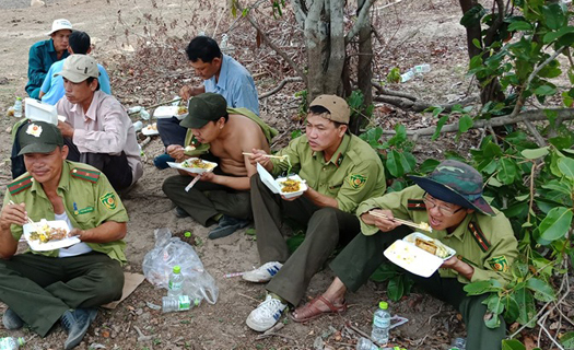 Quảng Ngãi: Cơ bản khống chế cháy rừng tại huyện Đức Phổ