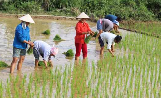 Mùa nước đổ Trùng Khánh