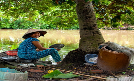 Lời rao trên kênh Đắc Lực