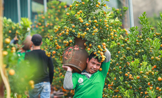 Gốc và rễ