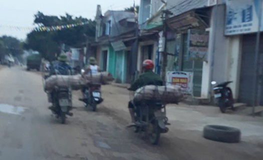 Dịch tả lợn châu Phi bùng phát trở lại tại Thanh Hóa