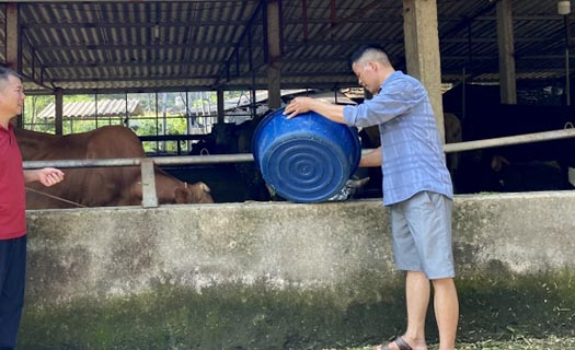 Khát khao xây dựng miền quê đáng sống