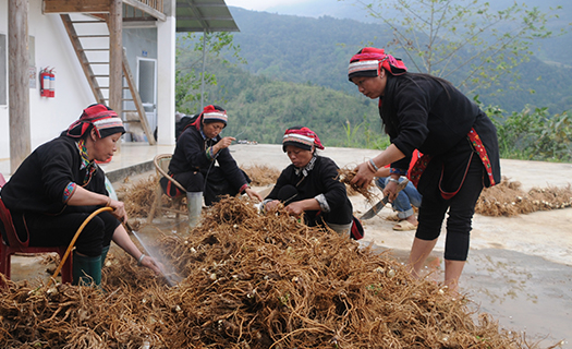 Làm giàu trên cổng trời Quản Bạ