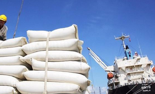 Trình Thủ tướng ban hành Chỉ thị về tăng cường công tác xuất khẩu gạo