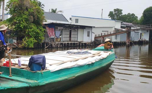 Đồng bằng Sông Cửu Long đi tìm giải pháp ứng phó hạn mặn, sụt lún