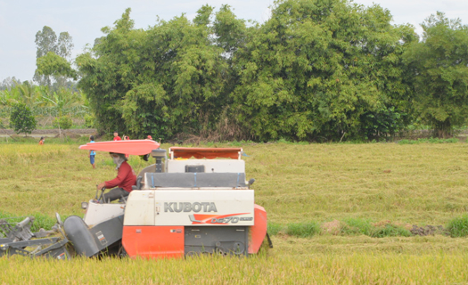 Phát triển vùng ĐBSCL: Tháo điểm nghẽn liên kết vùng