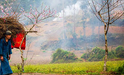 Sức sống trên Cao nguyên đá Đồng Văn