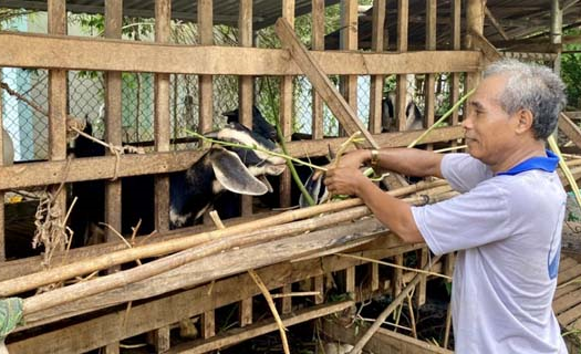 Nông dân Bà Rịa - Vũng Tàu thay đổi mô hình kinh tế, vươn lên làm giàu