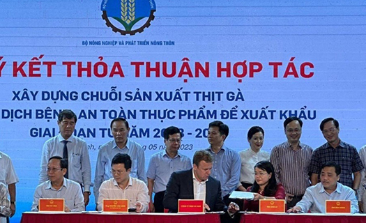 Triển khai xây dựng chuỗi, vùng chăn nuôi an toàn dịch bệnh