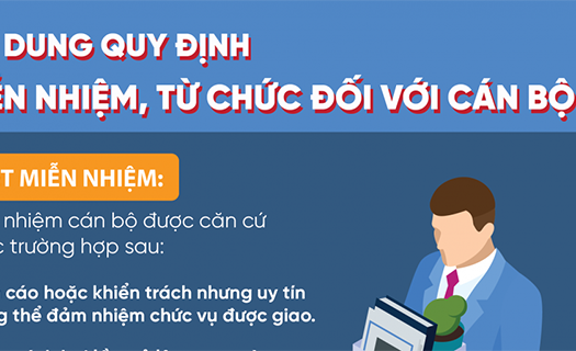 Nên có quy định cụ thể buộc cán bộ sai phạm phải từ chức