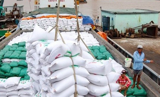 Thủ tướng yêu cầu xử lý nghiêm các trường hợp đẩy giá lúa gạo lên cao bất hợp lý