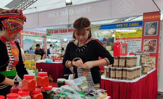 Thúc đẩy đưa nông sản Việt Nam xuất khẩu vào Trung Quốc