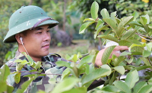 VOV - người bạn thân thiết của bà con vùng cao