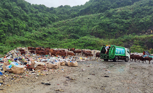 Bãi chôn lấp rác khổng lồ tại Ninh Bình quá tải sau 10 năm hoạt động