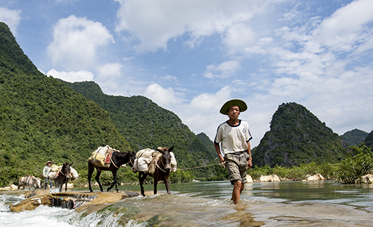 Con la với nghề nông ở Trùng Khánh