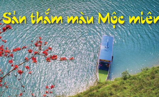 Tu Sản thắm màu Mộc miên