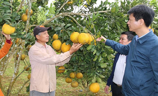 Tam nông mang tính chiến lược trong công nghiệp hóa, hiện đại hóa đất nước