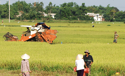 Củng cố vị thế của nông nghiệp và nông dân