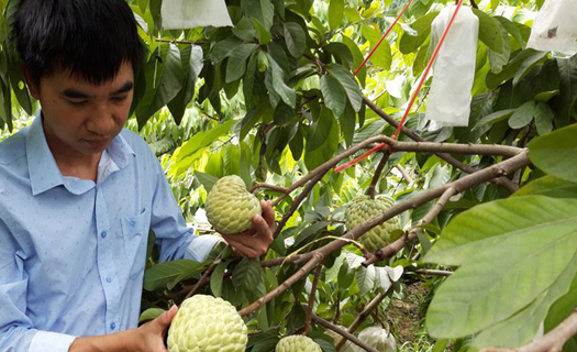 Vì sao nhiều hàng Việt Nam xuất khẩu bị 