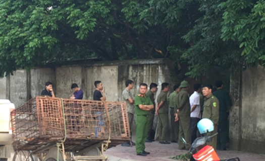 Bắt nhốt đàn chó cắn bé trai tử vong và từng tấn công nhiều người