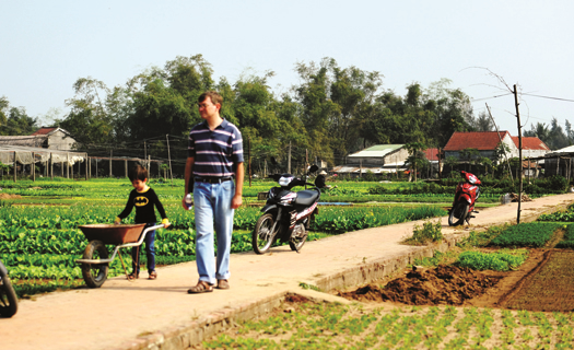 Làng rau không nghỉ Tết